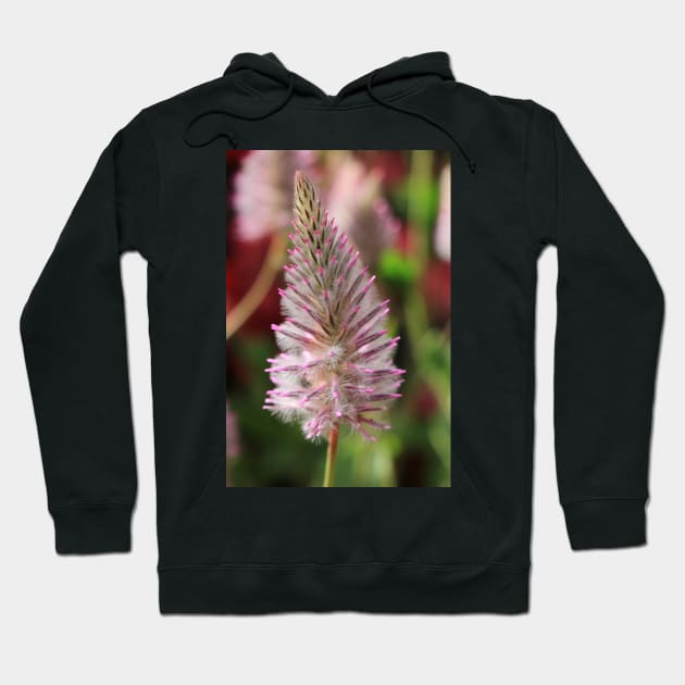 a Beauty Hoodie by OVP Art&Design